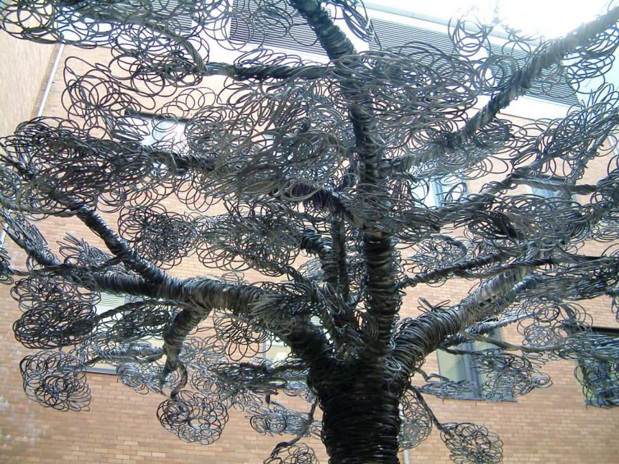 Norfolk & Norwich University Hospital: The Wish Tree canopy